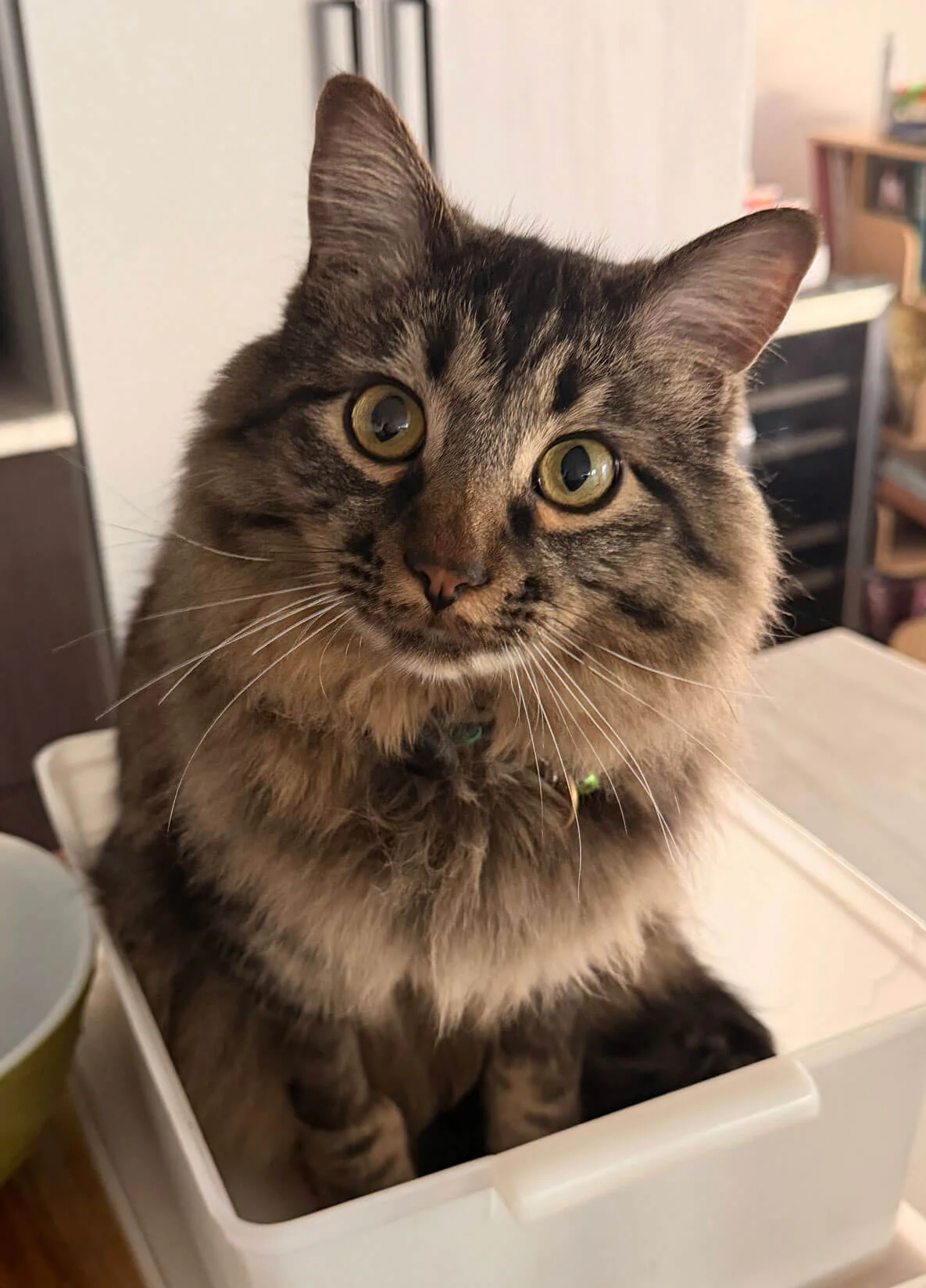 Gary